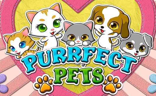 'Purrfect Pets'